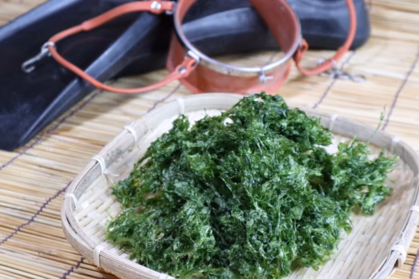 食べきるまでカスタマーサポート