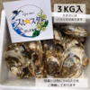 【生食可】【天然】有明海産住之江牡蠣　スミ☆スター