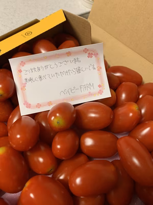 みんなの投稿の画像
