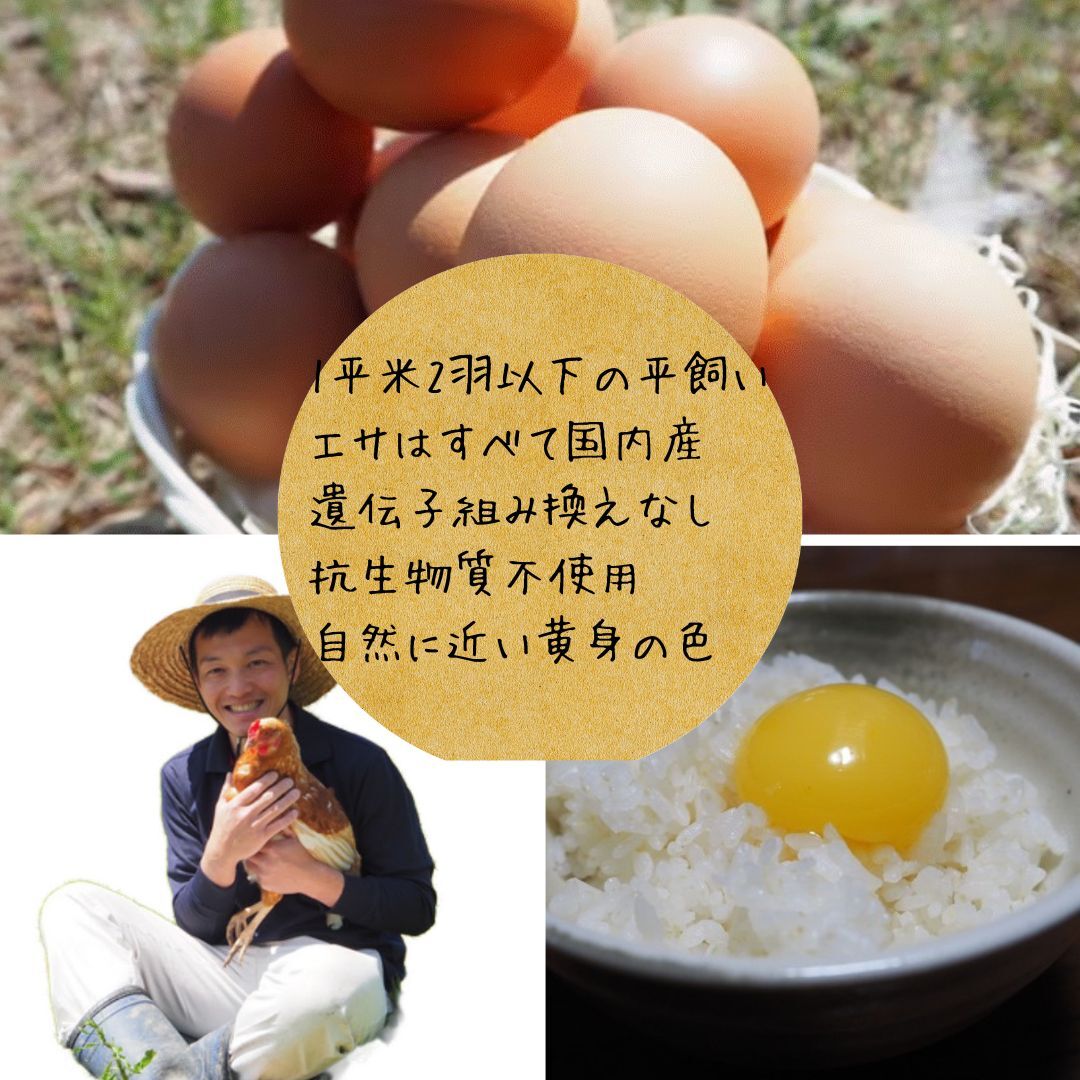 楽天市場】平飼い たまご 玉子 卵 無選別 コク旨 濃厚 黄身 白身