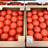 昔ながらの完熟トマトたっぷり４キロ‼︎大きさはおまかせください‼︎