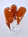 【セット】訳あり熟成ジャガイモ「キタアカリ」 と雪下にんじん　各5kg