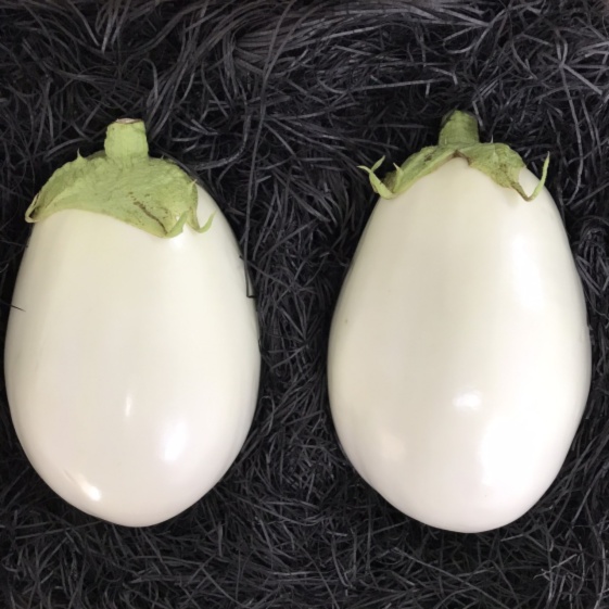 夏ギフト 6 10月発送 贈答用宝石野菜白ナス 桐箱入り 農家漁師から産地直送の通販 ポケットマルシェ