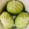 まるっとポトフに！ちびっこアンビエントキャベツ！