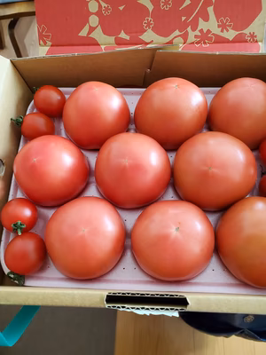 みんなの投稿の画像