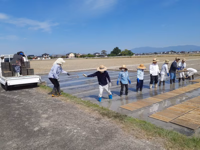 みんなの投稿の画像