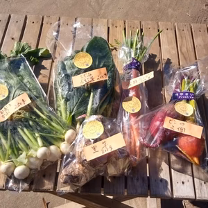 秋冬野菜セット