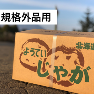 北海道産新じゃがいも　品種キタカムイ　10kg 規格外　込み玉M〜3Lサイズ以上