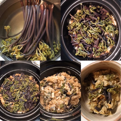 みんなの投稿の画像