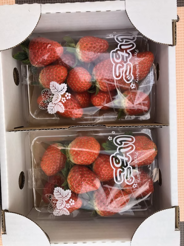 とちおとめ　280g×2パック　Lサイズ以上