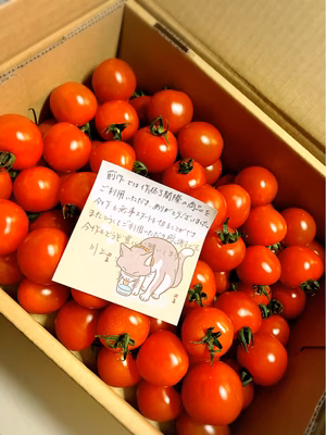 みんなの投稿の画像