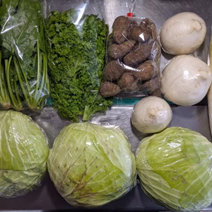 キャベツ、ダイコン、カブ、サトイモ、ホウレンソウ、わさび菜