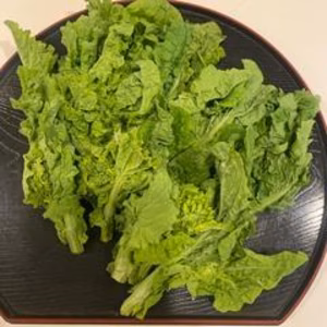 春香る！旬を楽しむ♥ふんわ～り菜花5袋