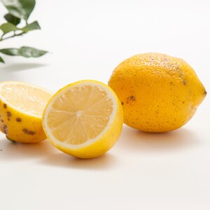 【農薬不使用・ワケあり品】ハウス栽培レモン　味も香りもバツグン！