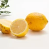 【農薬不使用・ワケあり品】ハウス栽培レモン　味も香りもバツグン！