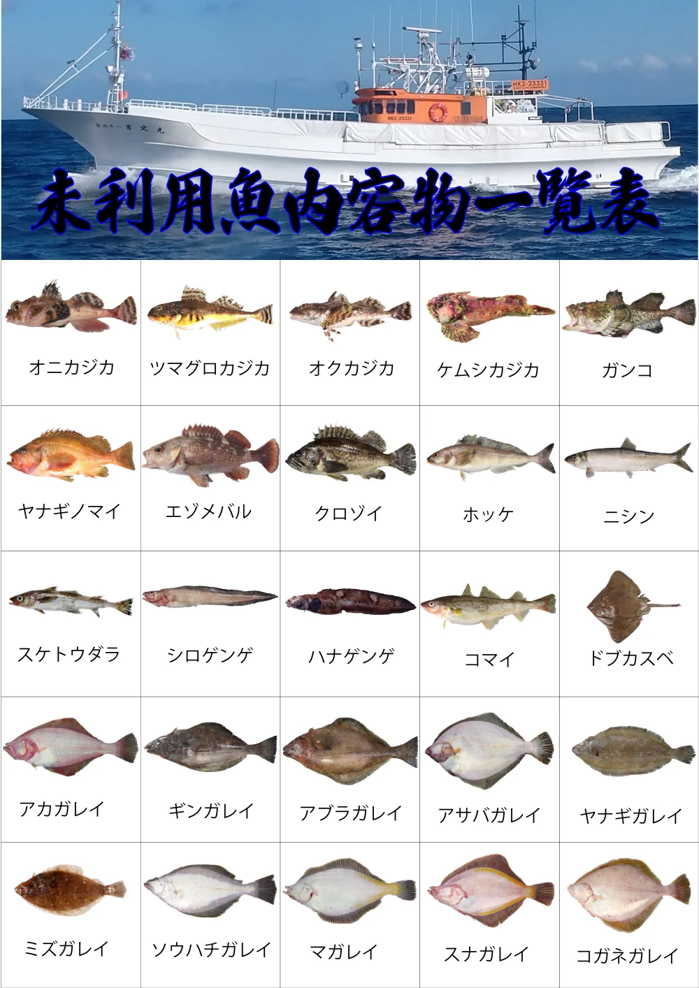 【知床羅臼直送】未利用魚ボックス