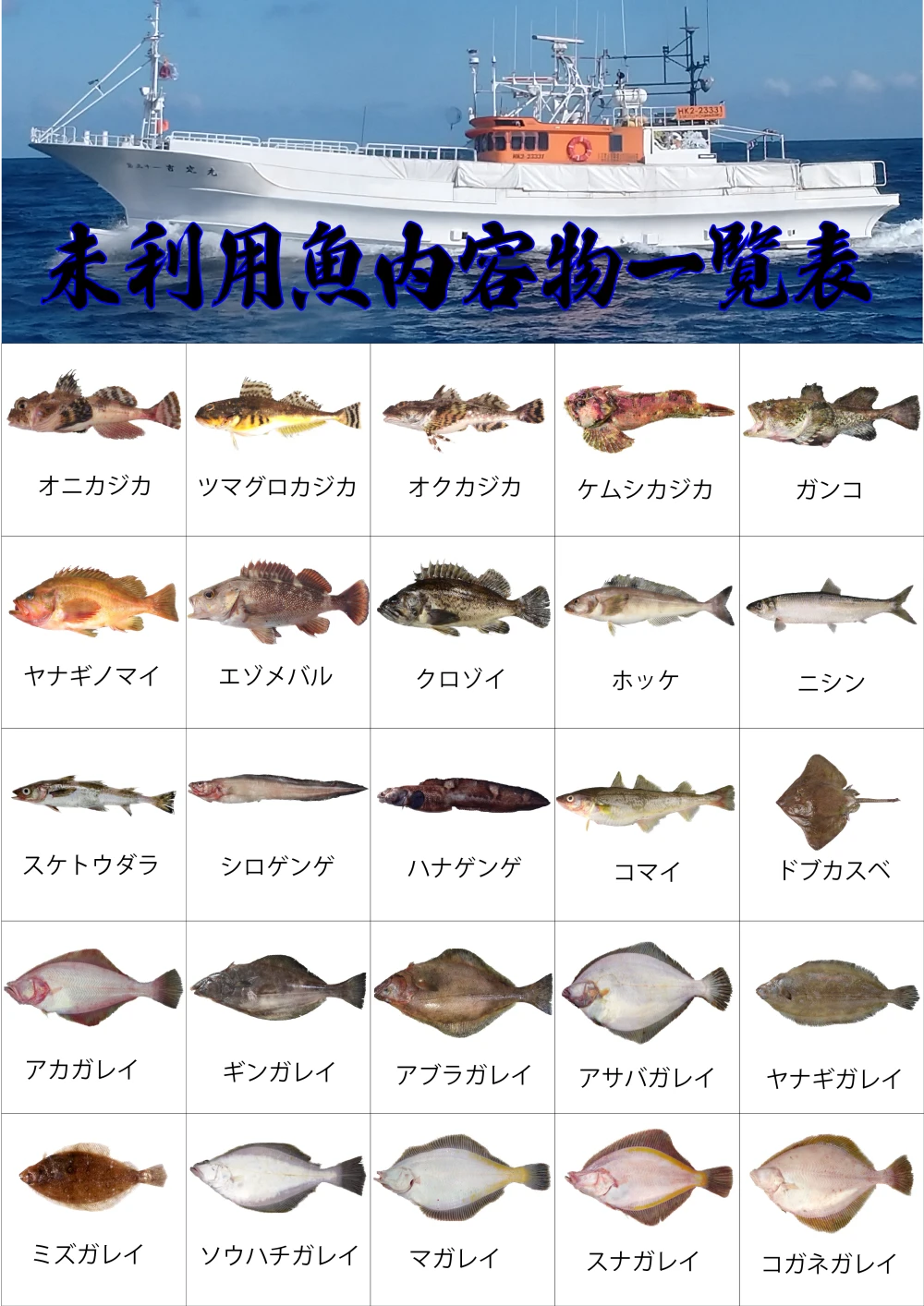 年明け1月に発送】未利用魚ボックス（鮮魚ボックス梅コース）｜魚介類 ...