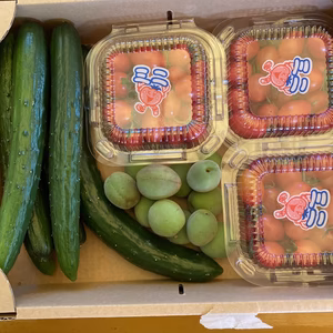 初夏香る夏野菜セット