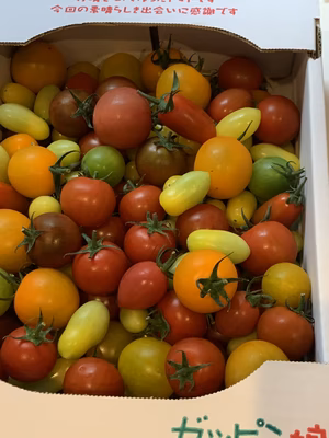 みんなの投稿の画像