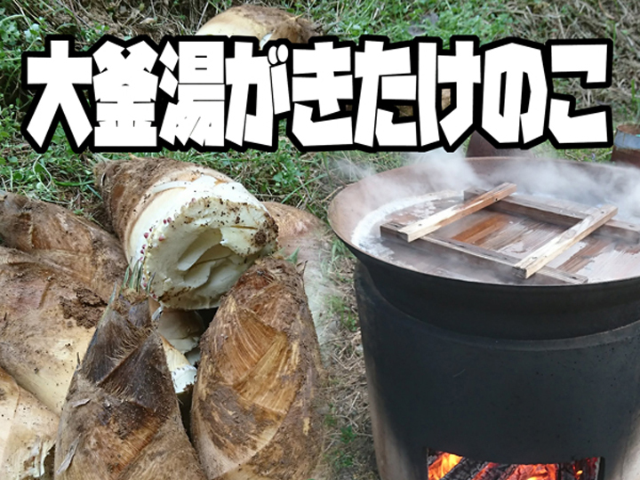 パトラさん専用】大釜湯がき筍(2キロ）｜野菜の商品詳細｜ポケット