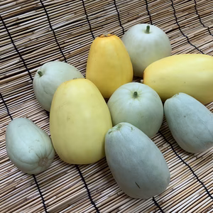 【自然栽培】固定種メロン３品種セット★農薬・肥料不使用｜食べ比べ
