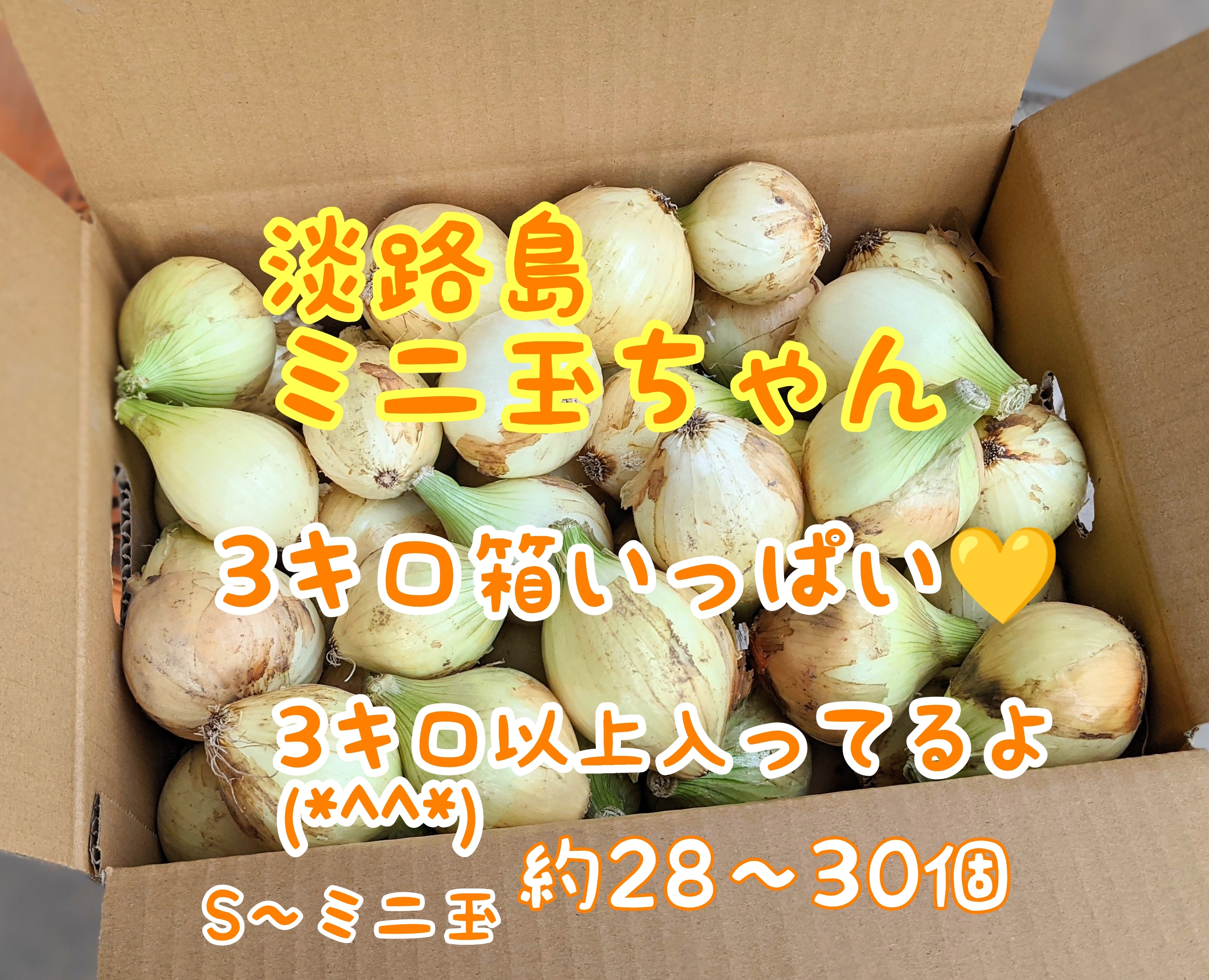 淡路島ミニ玉ちゃん 新玉ねぎ 農家漁師から産地直送の通販 ポケットマルシェ