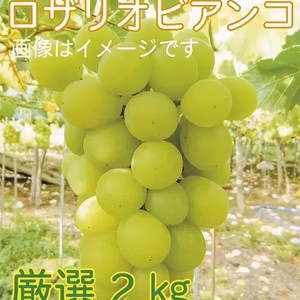 【9周年福袋】福袋限定商品！皮ごともＯＫ★ロザリオビアンコ3～5房
