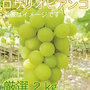 【9周年福袋】福袋限定商品！皮ごともＯＫ★ロザリオビアンコ3～5房