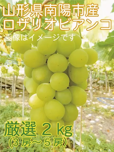 【9周年福袋】福袋限定商品！皮ごともＯＫ★ロザリオビアンコ3～5房