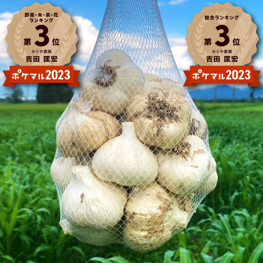 青森県にんにく10KgS ラスト　加工おすすめ 青森県産むきにんにく 10kg｜にんにく卸専門 いいにんにくSHOP