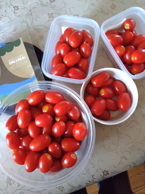 みんなの投稿の画像