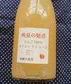 新作「晩夏の魅惑」夏りんご100％ストレートジュース　砂糖不使用レア商品）
