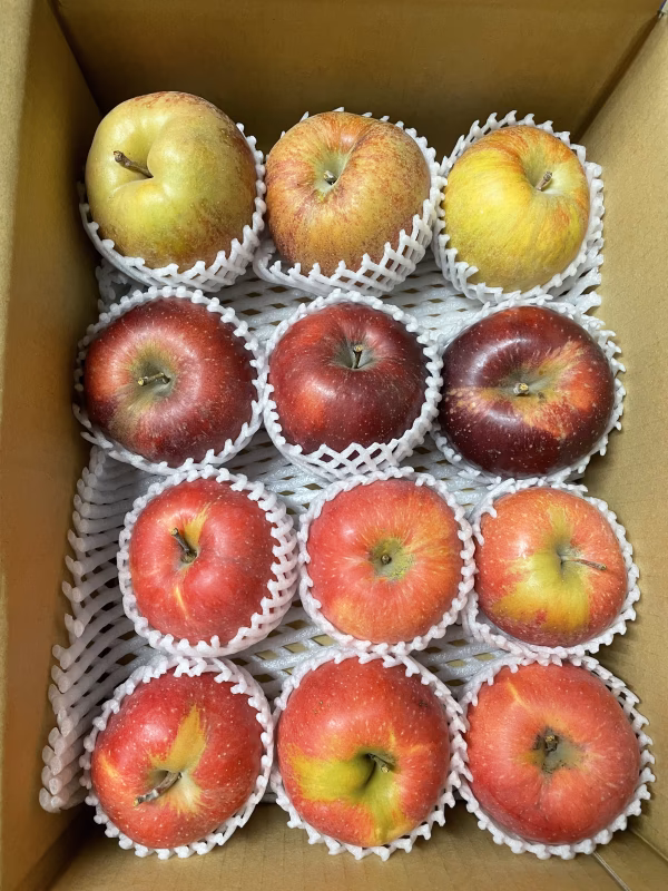 息子3歳&2ヶ月記念‼️【りんごの宝石箱】農薬50％減　最低3品種