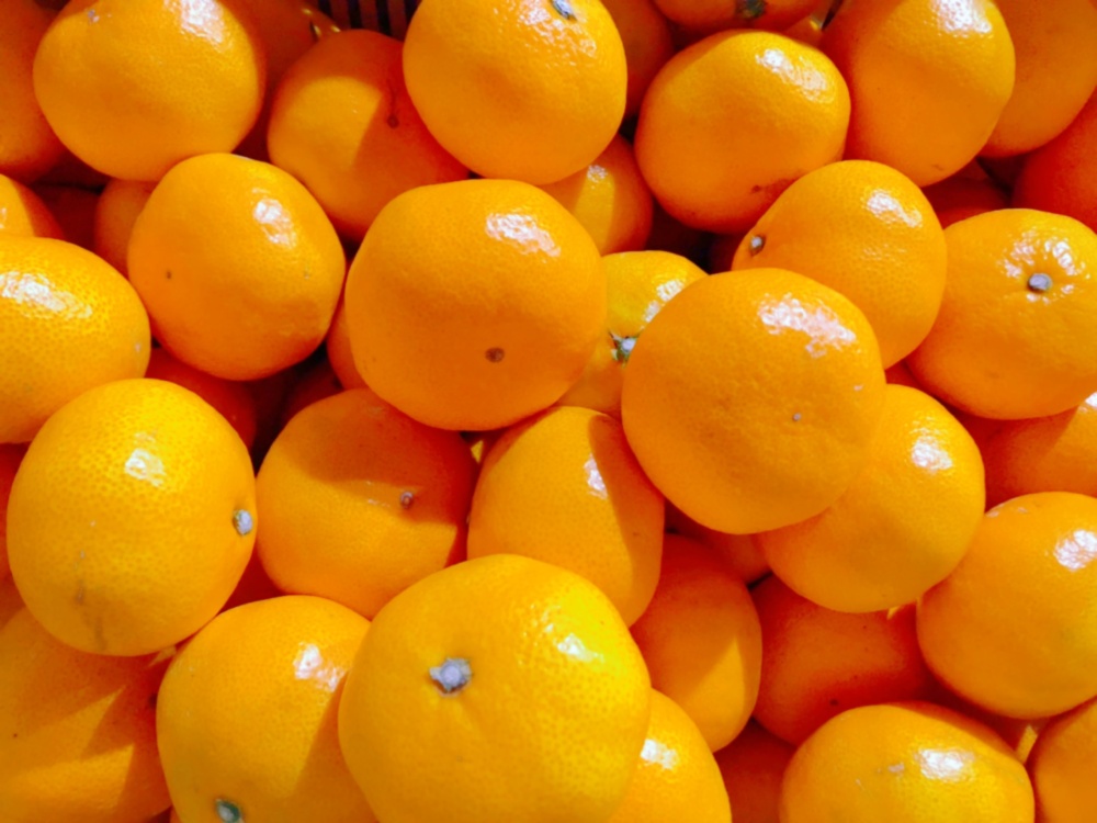 専用。お年玉超特価⭐みかん❤肉厚ニット＆ボア⭐超特大ブランケット…ボアケット❤ 専用。お年玉超特価⭐みかん❤肉厚ニット＆ボア⭐超特大ブランケット