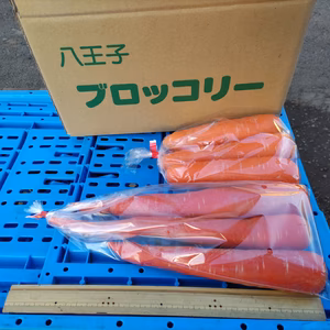 京くれない人参とオランジェ人参
