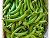 甘さはじける！スナップエンドウ 