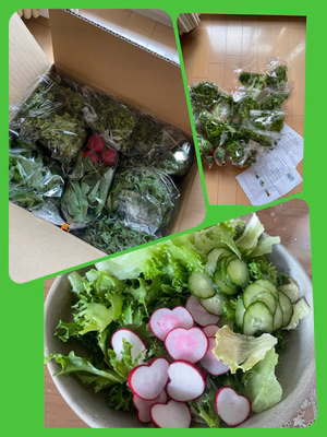 みんなの投稿の画像