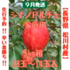 先行予約‼︎早い者勝ち‼︎【長野県松川村産】シナノドルチェ家庭用