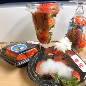 クリスマスいちごパック【満足！】４品種食べ比べセット