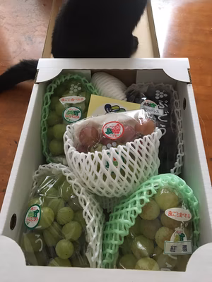 みんなの投稿の画像