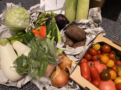 みんなの投稿の画像