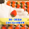 【業務用・着指定不可】青森県産　夏秋いちご30玉（３品種mix）