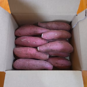 【訳あり数量限定】小さいシルクスイート2kg【鹿児島県産】