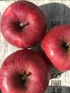 減農薬栽培　美味しい訳有り　ツル割れサンふじりんご　家庭用３キロ箱　