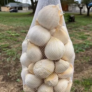 にんにくの王様　青森にんにく『白玉王』特大バラ（1kg）