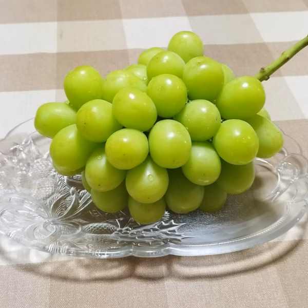 【家庭用】岡山県産シャインマスカット3～5房【2kg】しっかり甘くてジューシー