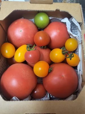 みんなの投稿の画像