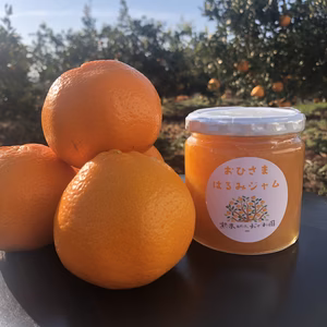 【全国一律送料】（沖縄を除く）　あま・うま～い【はるみジャム】270g