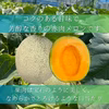 《濃厚で甘い！華やかな香り》ルピアレッドメロン2玉～