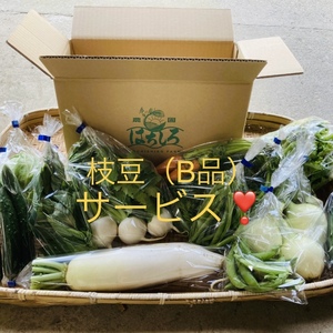 枝豆（B品300 g）サービス(^^)80サイズの箱8〜10品野菜セット♪